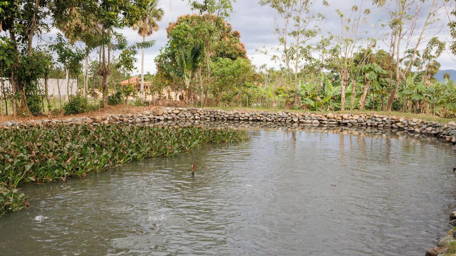 Villa Rancho Don Pedro Bonao 0*,